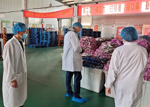 欧美激情性做爰免费视频