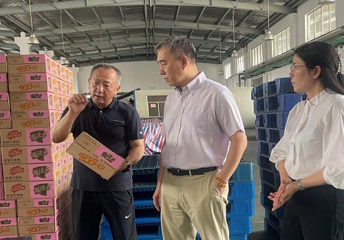 欧美激情性做爰免费视频