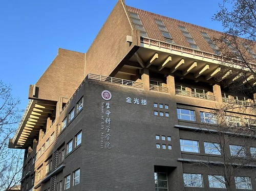 欧美激情性做爰免费视频