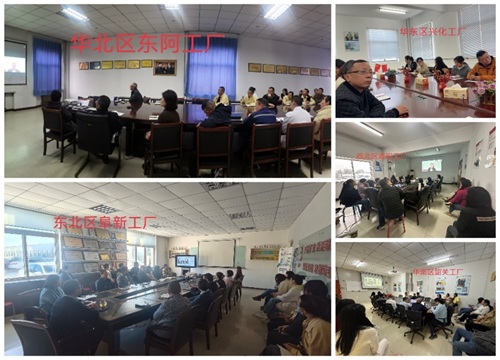 欧美激情性做爰免费视频