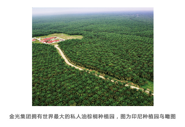 欧美激情性做爰免费视频