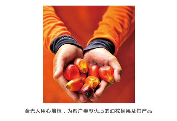 欧美激情性做爰免费视频