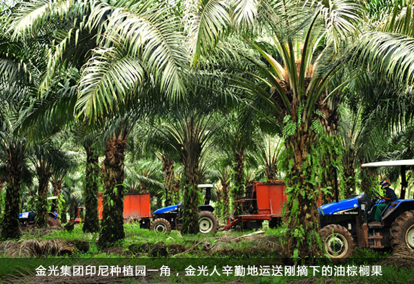 欧美激情性做爰免费视频