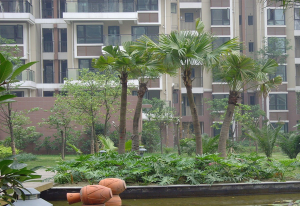 欧美激情性做爰免费视频