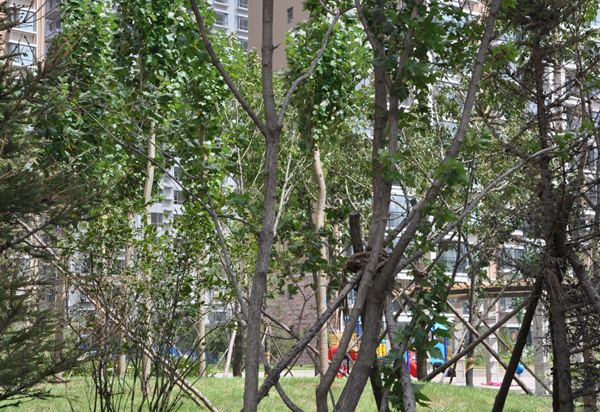 欧美激情性做爰免费视频