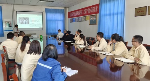 欧美激情性做爰免费视频